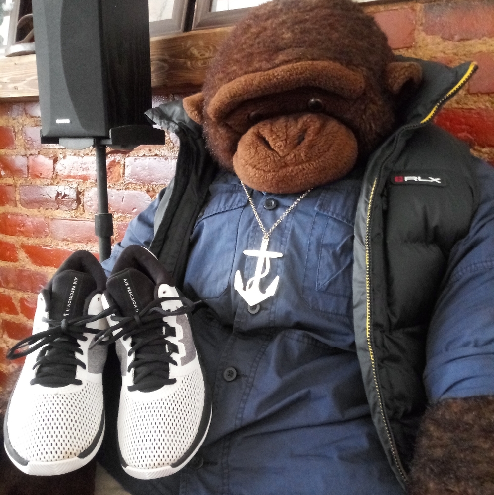 Nike Air Precision 2
